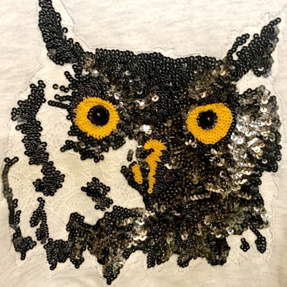 Express Cropped Sequin Lace Heathered Grey Owl Sweatshirt Women's Small S EUC - Picture 3 of 7